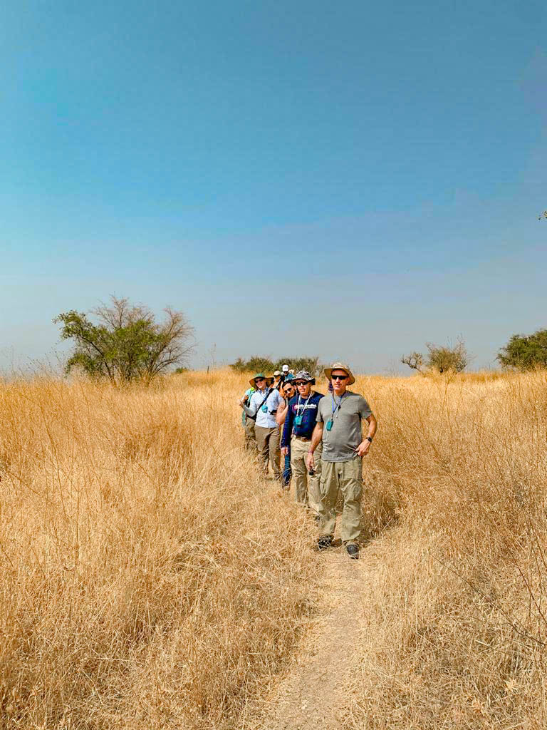 305465551 496053305858885 7543011407755362240 n