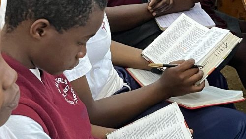 383515399 18209728018264617 1998285661103309270 n