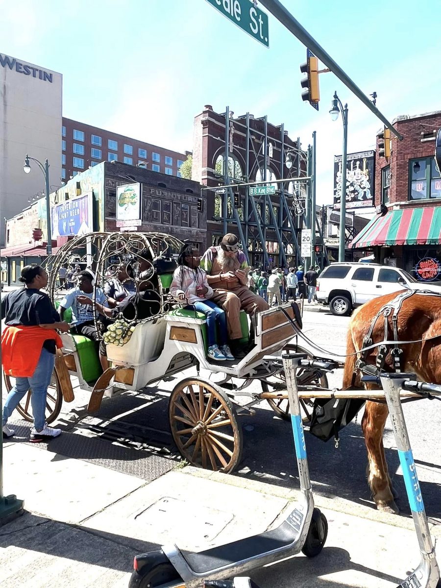 417543201 10160188464769247 4417864286087578405 n